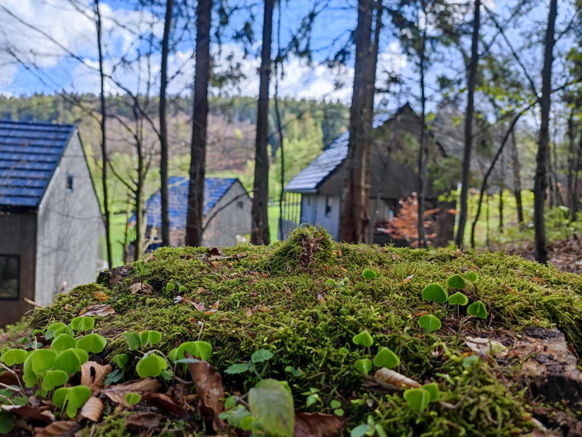 Slow Huts Miedzygorze