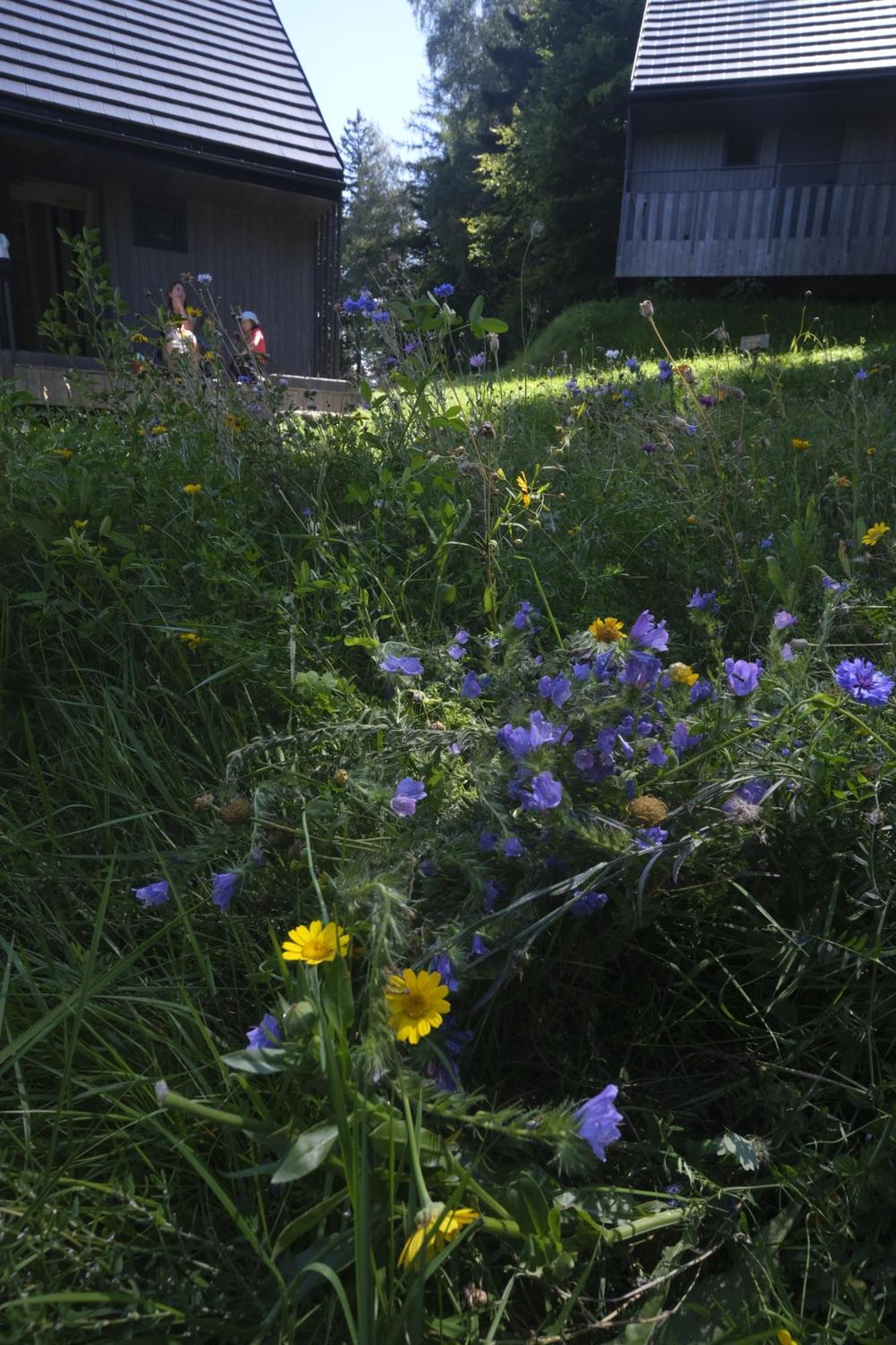 Slow Huts Casa vacanze Miedzygorze