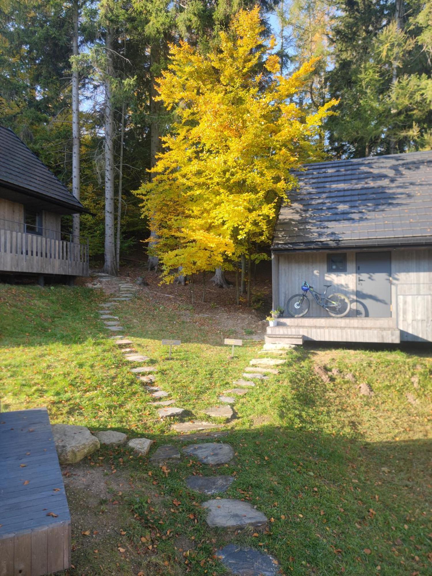 Casa vacanze Slow Huts Miedzygorze